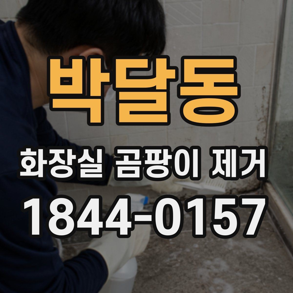 박달동 화장실 곰팡이 제거 청소보다 먼저 확인할 누수와 습기 원인