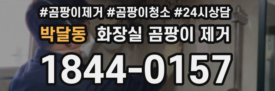 박달동 화장실 곰팡이 제거