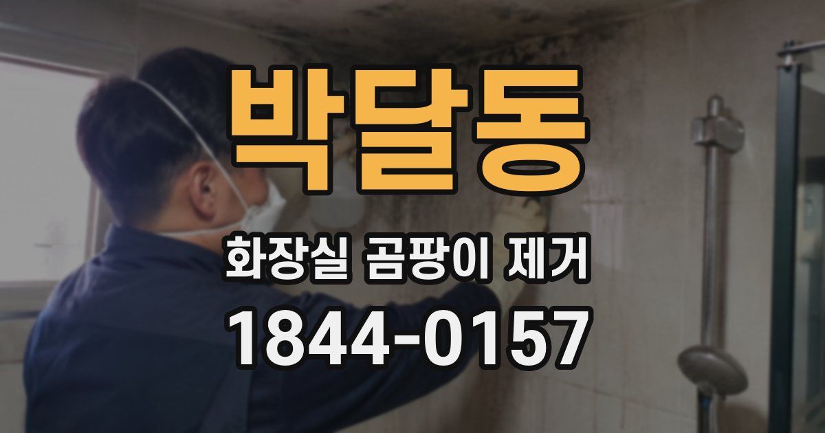박달동 화장실 곰팡이 제거
