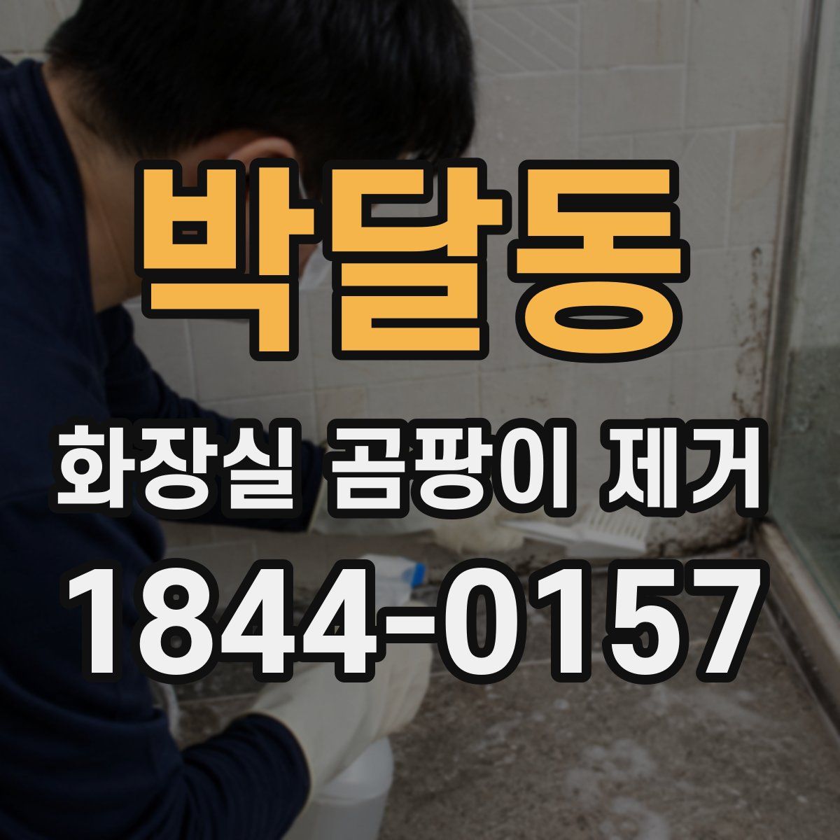 박달동 화장실 곰팡이 제거