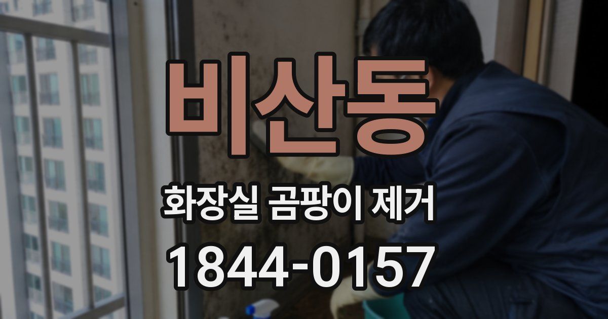 비산동 화장실 곰팡이 제거