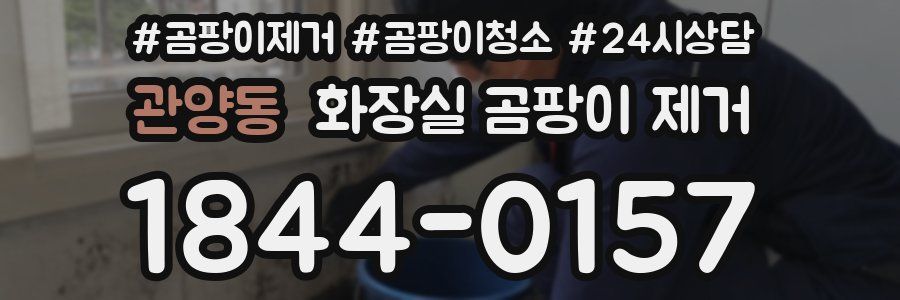 관양동 화장실 곰팡이 제거