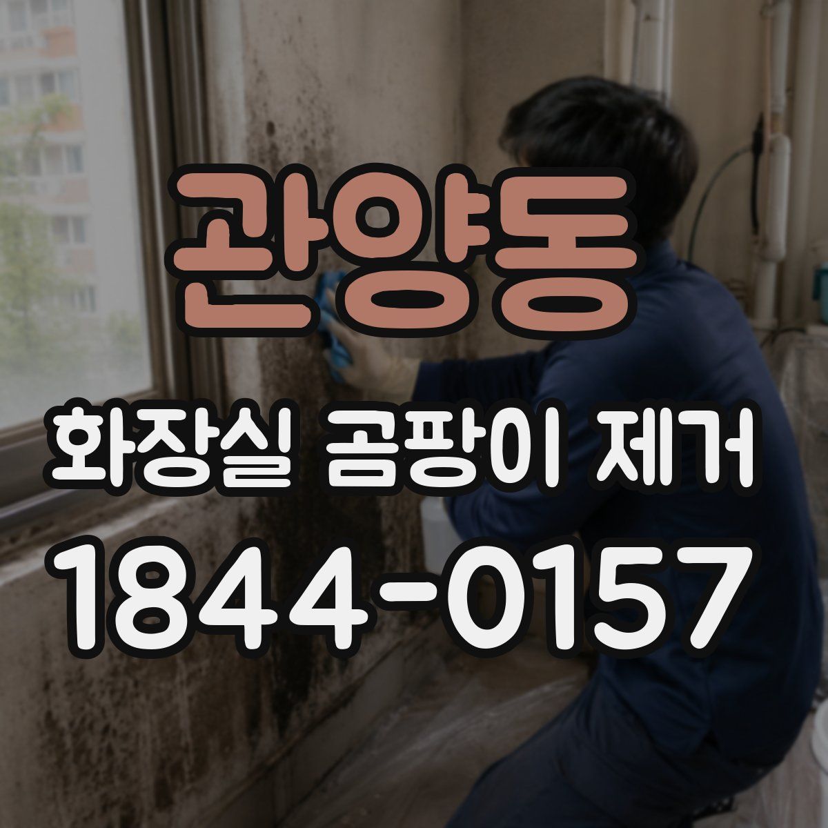 관양동 화장실 곰팡이 제거