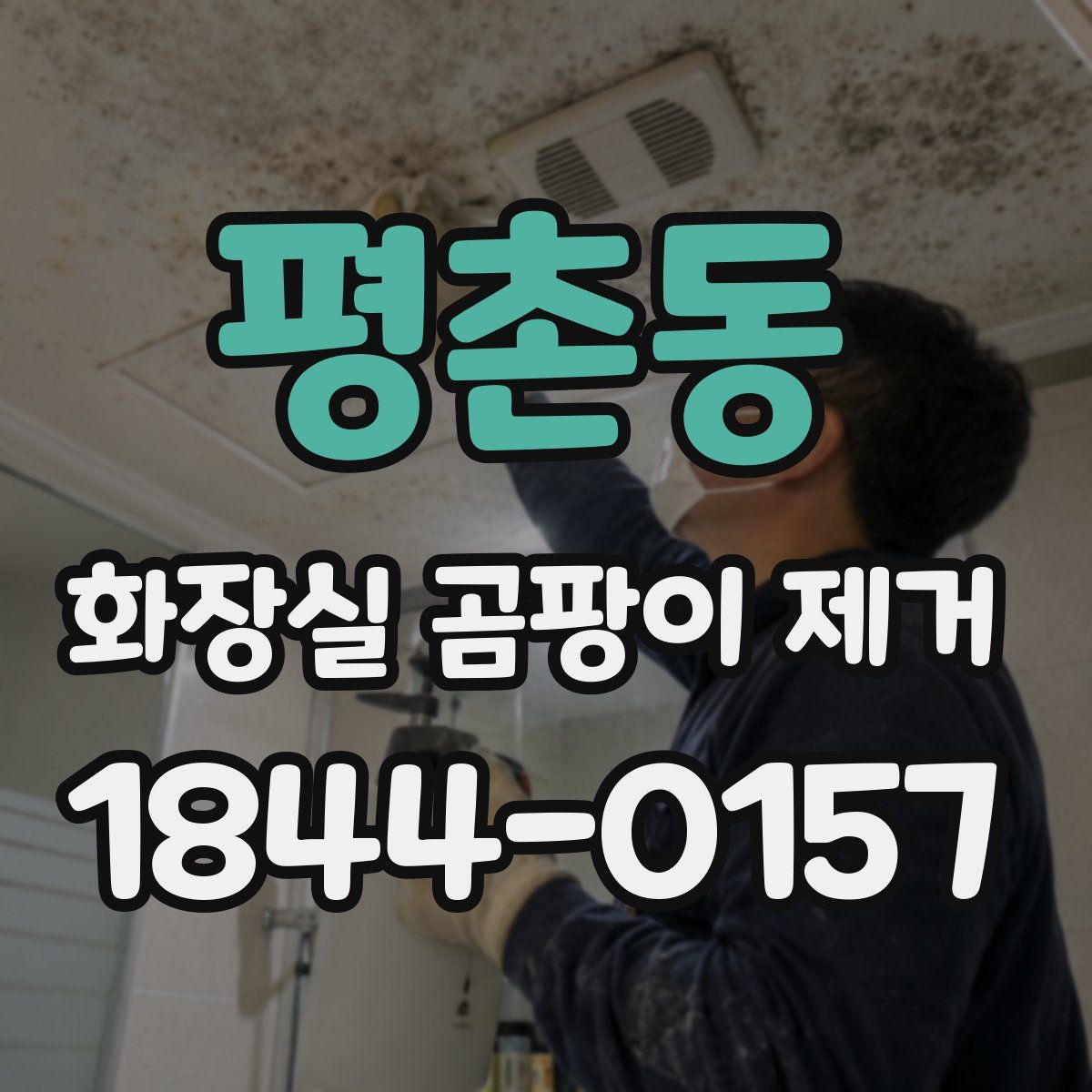 평촌동 화장실 곰팡이 제거
