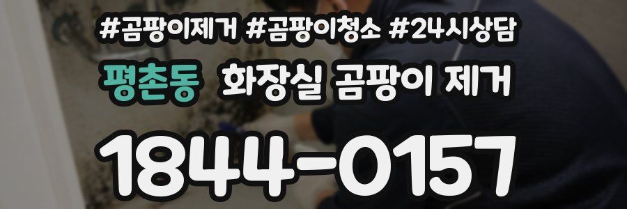 평촌동 화장실 곰팡이 제거
