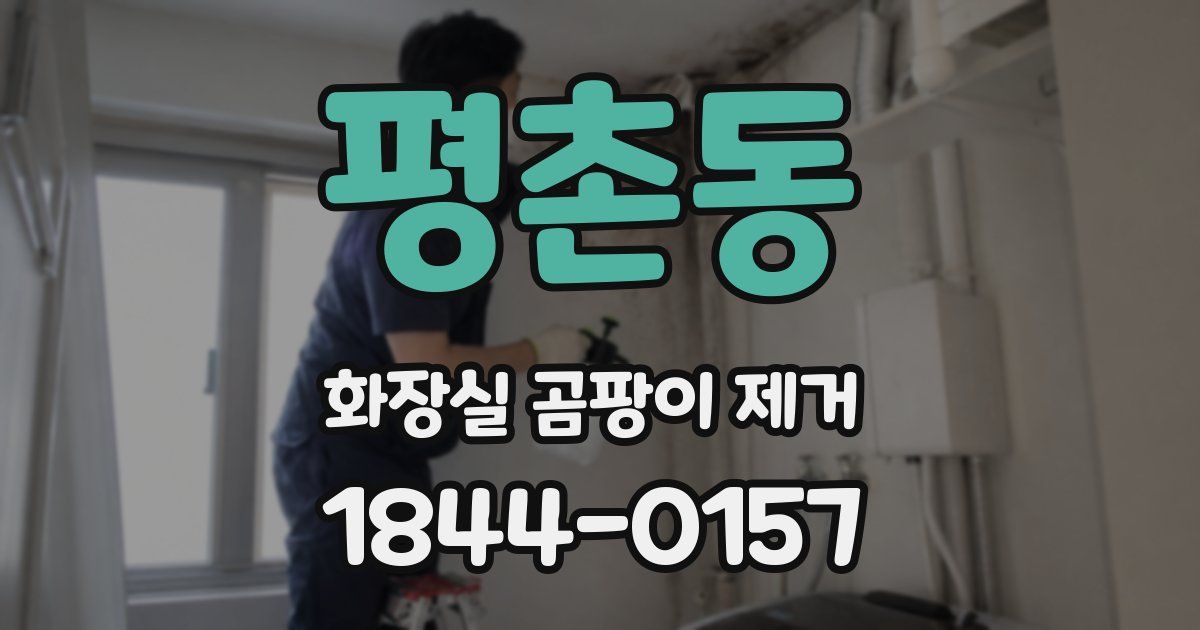 평촌동 화장실 곰팡이 제거