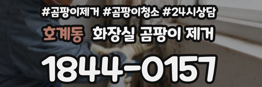 호계동 화장실 곰팡이 제거