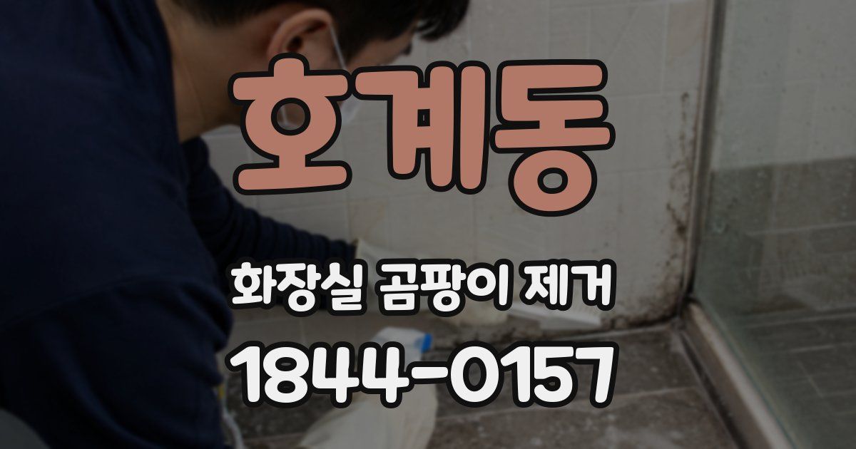 호계동 화장실 곰팡이 제거