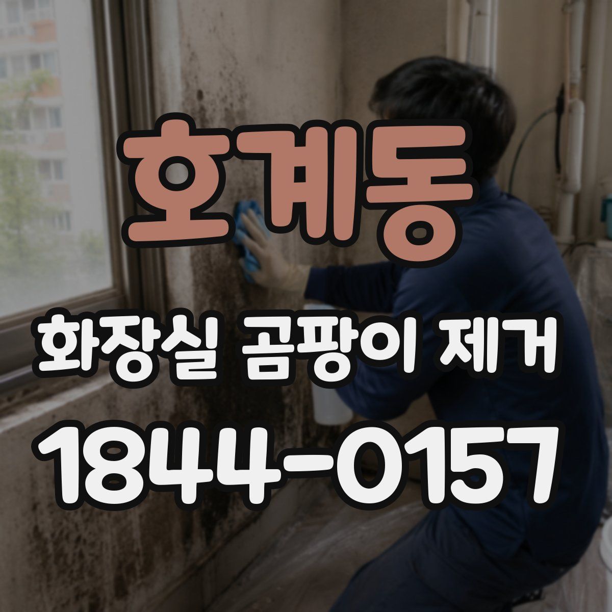 호계동 화장실 곰팡이 제거