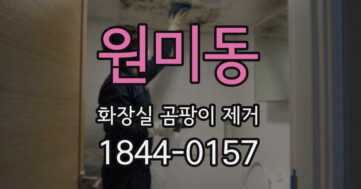 원미동 화장실 곰팡이 제거