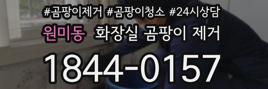 원미동 화장실 곰팡이 제거