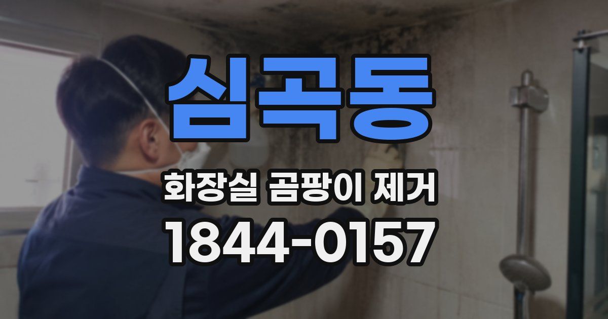 심곡동 화장실 곰팡이 제거