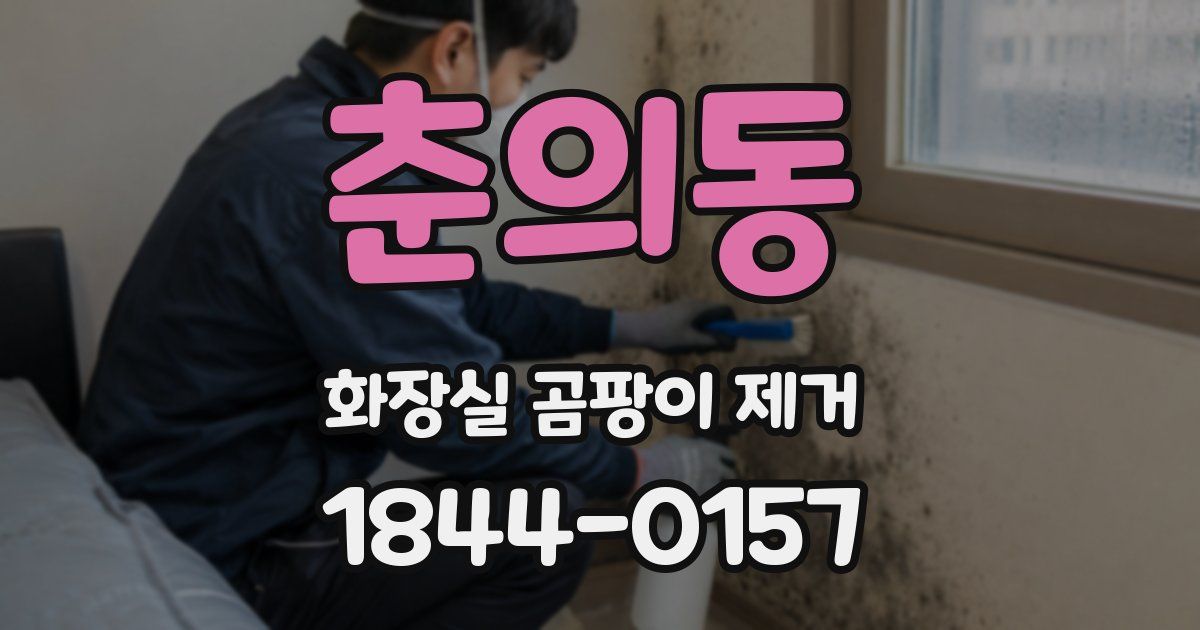춘의동 화장실 곰팡이 제거