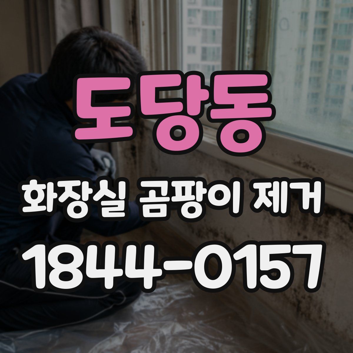 도당동 화장실 곰팡이 제거