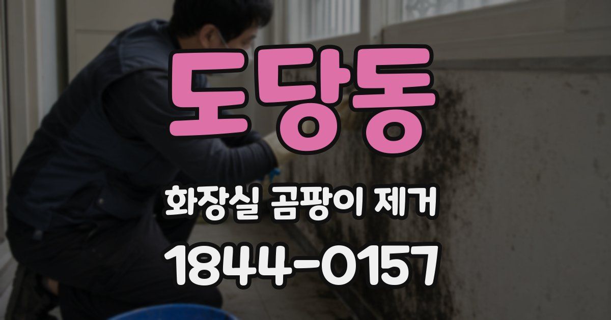 도당동 화장실 곰팡이 제거