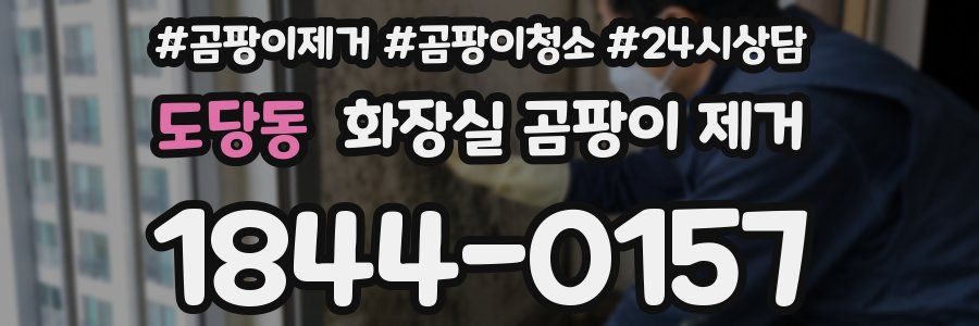 도당동 화장실 곰팡이 제거