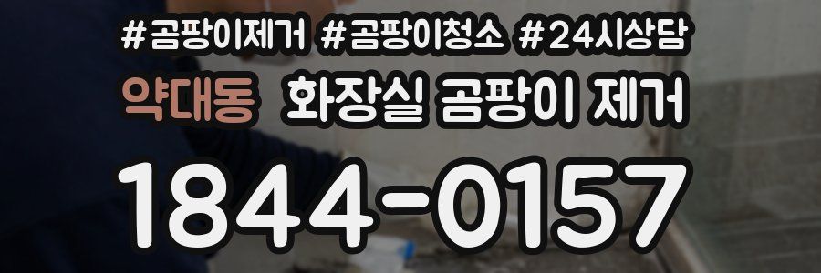 약대동 화장실 곰팡이 제거