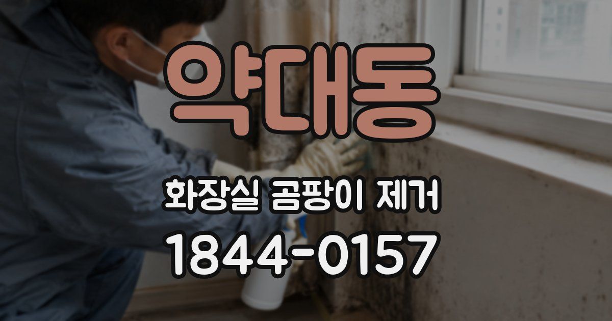 약대동 화장실 곰팡이 제거