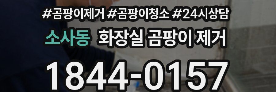소사동 화장실 곰팡이 제거