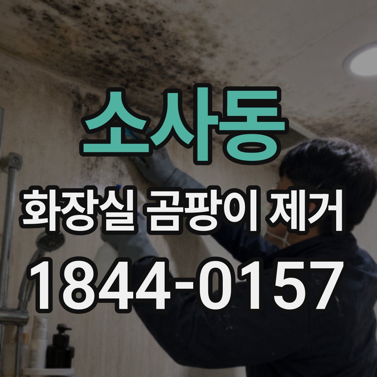 소사동 화장실 곰팡이 제거