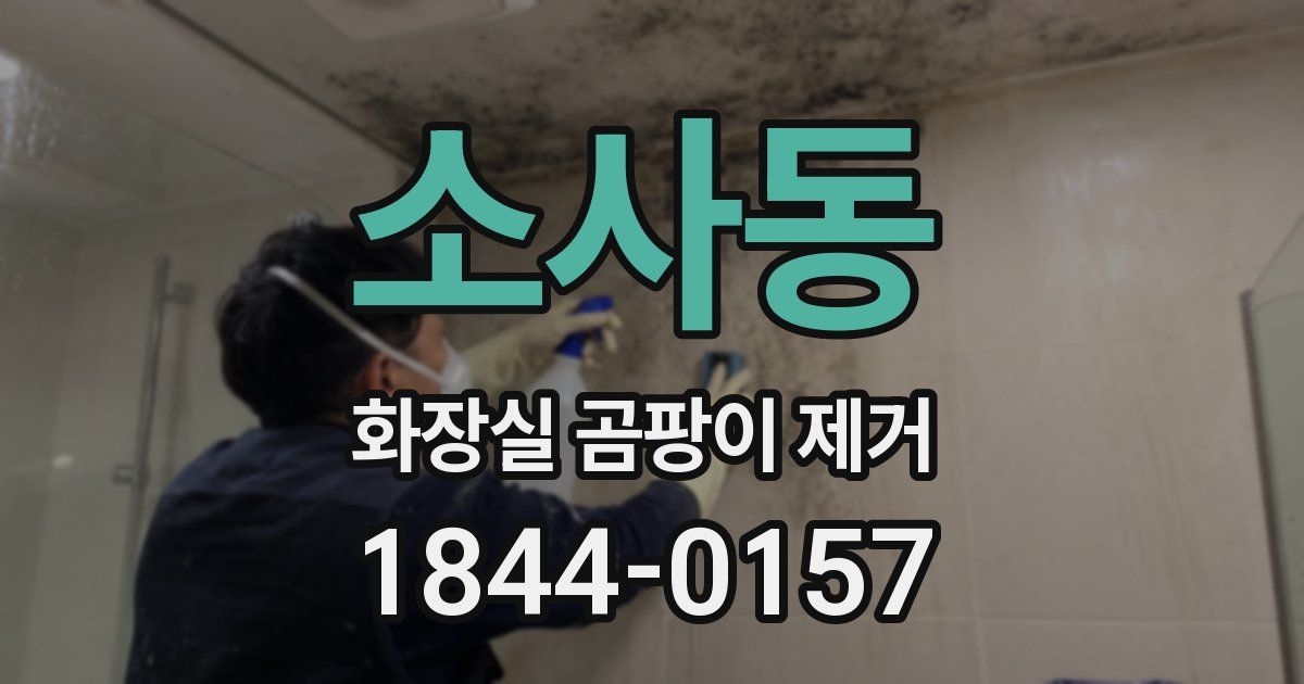 소사동 화장실 곰팡이 제거