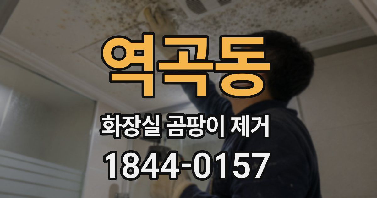 역곡동 화장실 곰팡이 제거