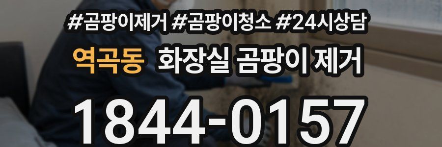 역곡동 화장실 곰팡이 제거