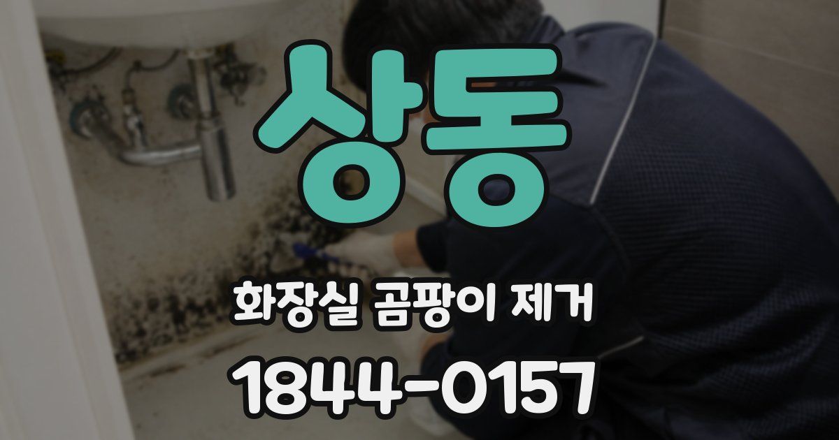 상동 화장실 곰팡이 제거