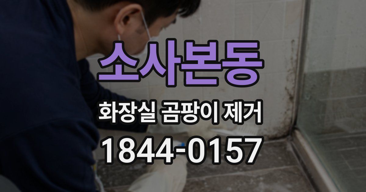 소사본동 화장실 곰팡이 제거