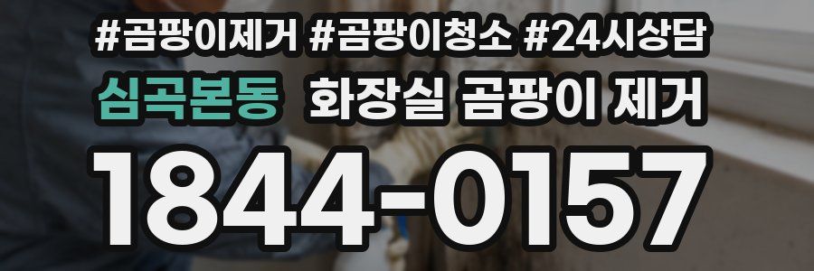 심곡본동 화장실 곰팡이 제거