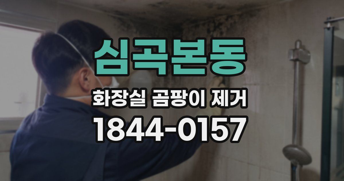 심곡본동 화장실 곰팡이 제거
