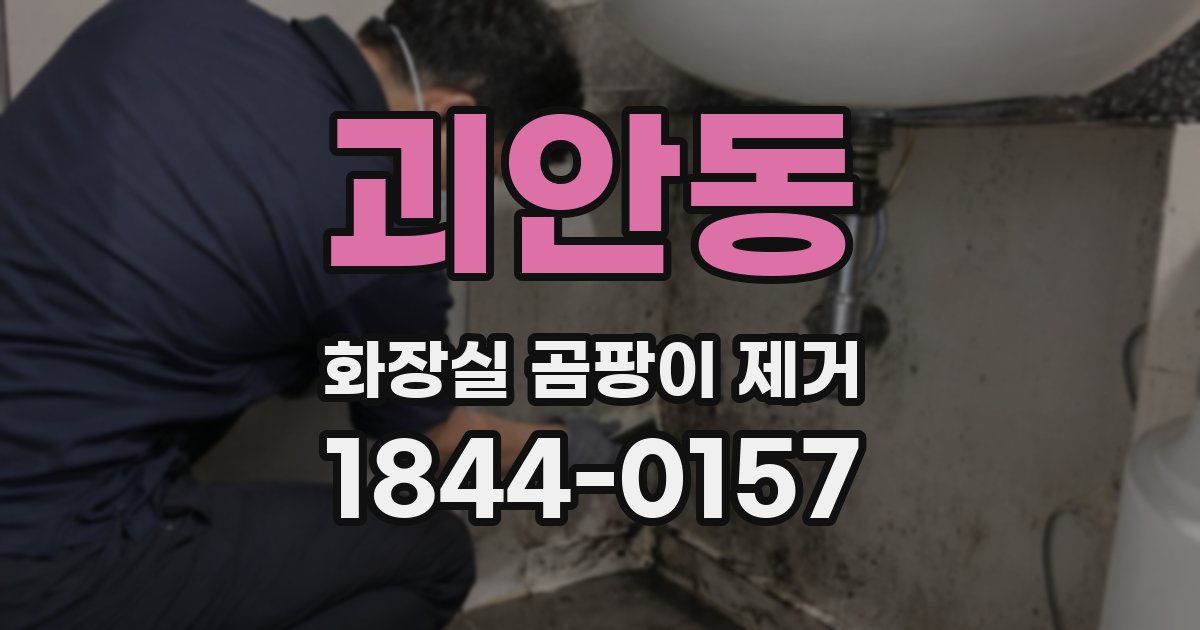 괴안동 화장실 곰팡이 제거