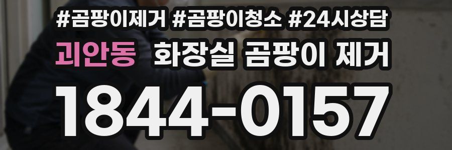 괴안동 화장실 곰팡이 제거