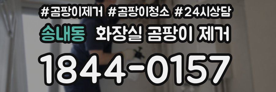 송내동 화장실 곰팡이 제거