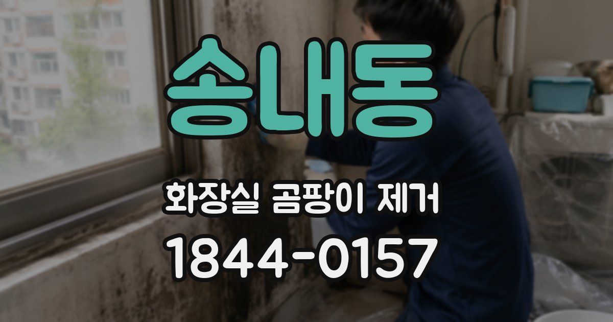 송내동 화장실 곰팡이 제거