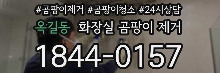 옥길동 화장실 곰팡이 제거