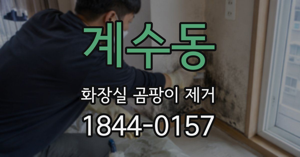 계수동 화장실 곰팡이 제거