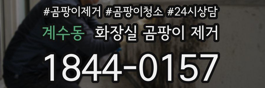 계수동 화장실 곰팡이 제거