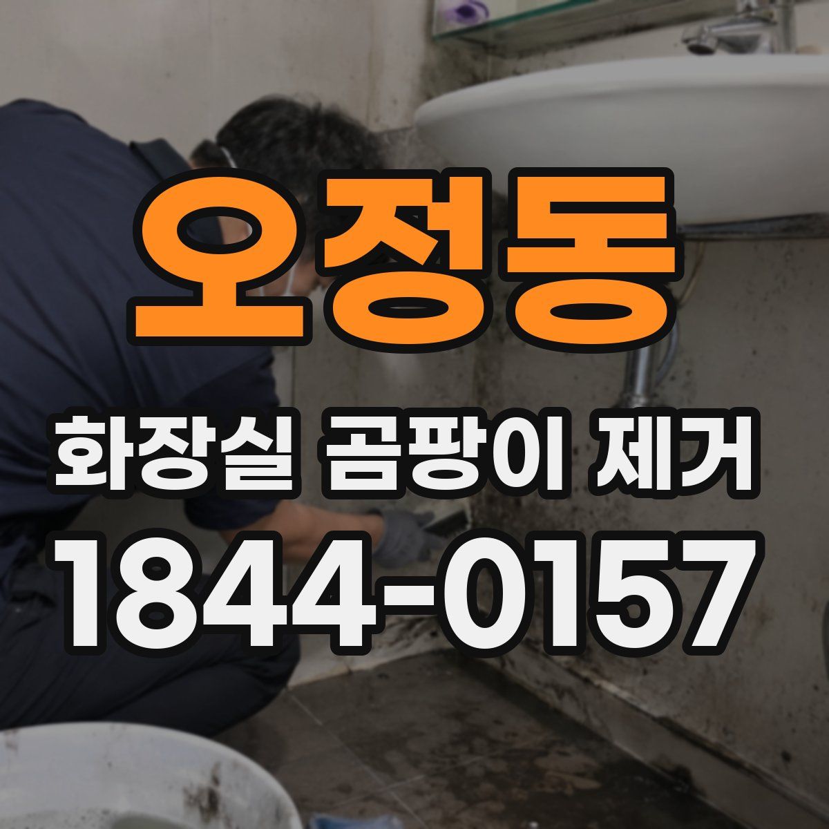 오정동 화장실 곰팡이 제거