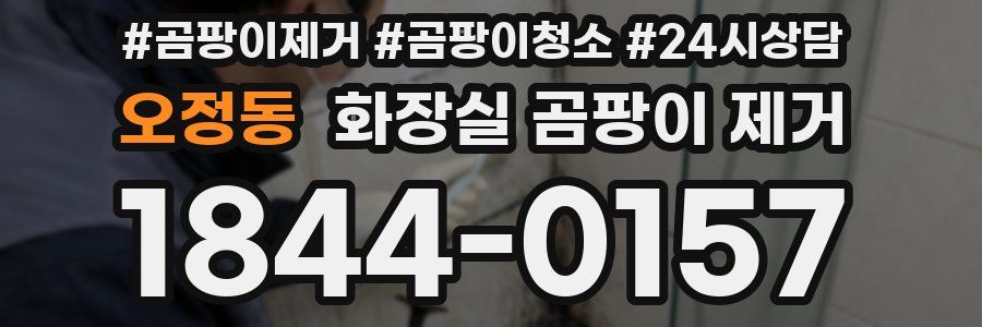 오정동 화장실 곰팡이 제거