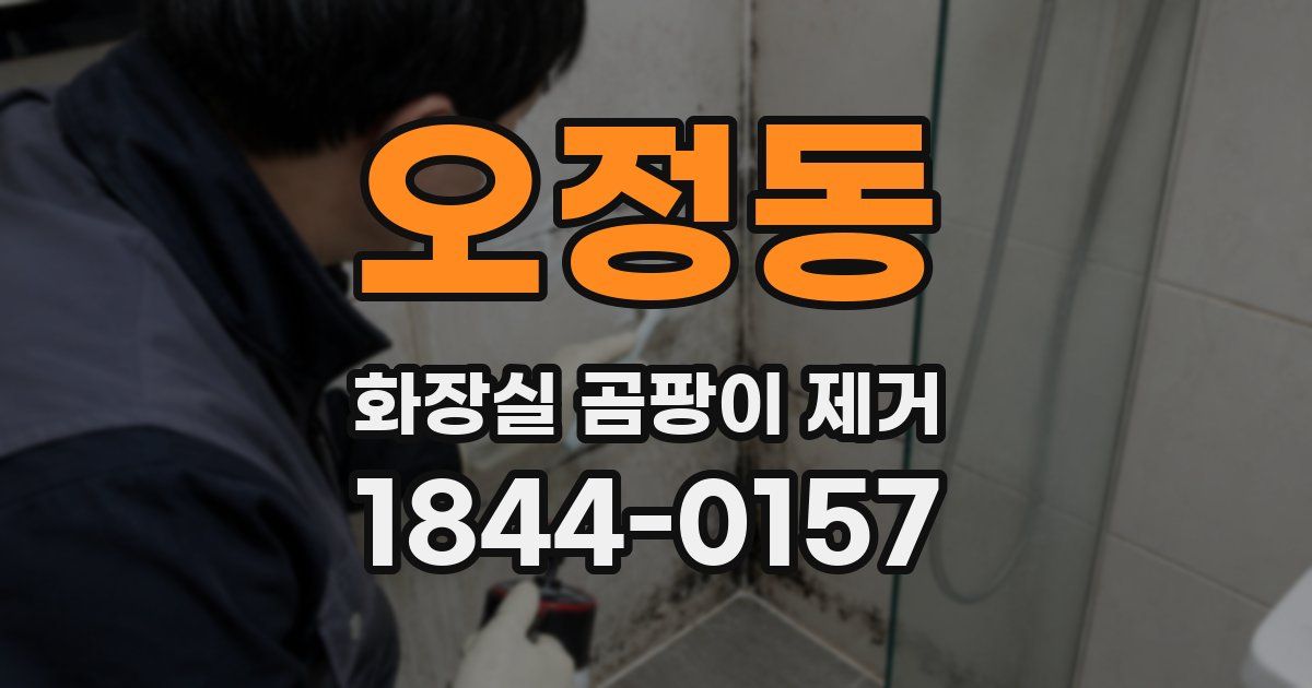 오정동 화장실 곰팡이 제거