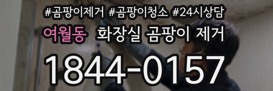 여월동 화장실 곰팡이 제거