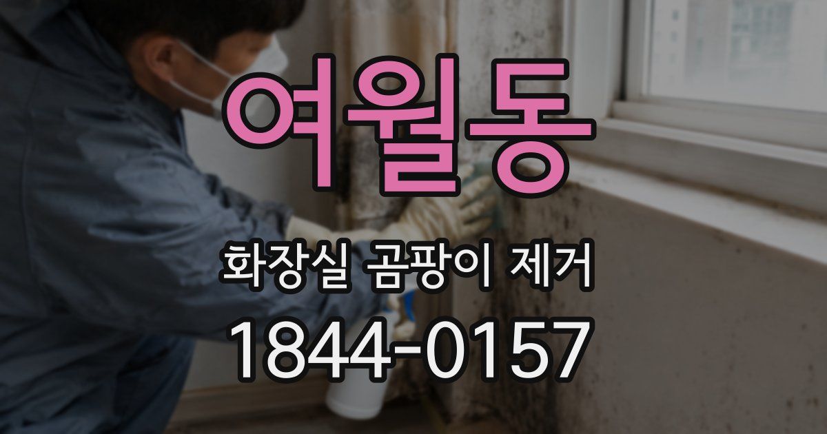 여월동 화장실 곰팡이 제거
