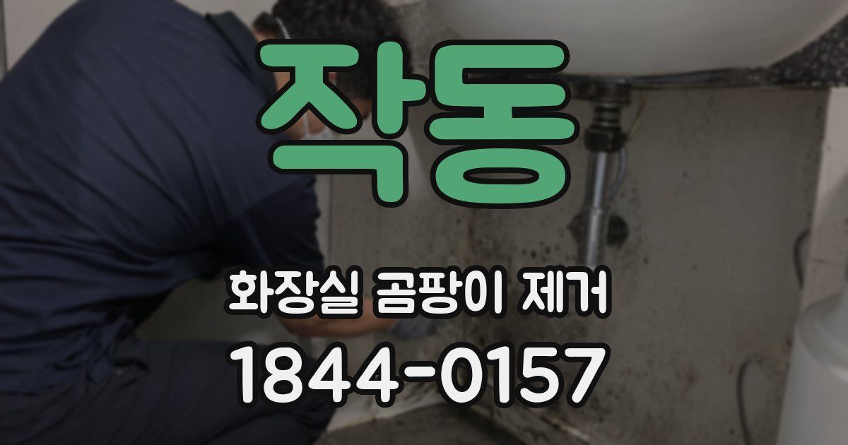 작동 화장실 곰팡이 제거
