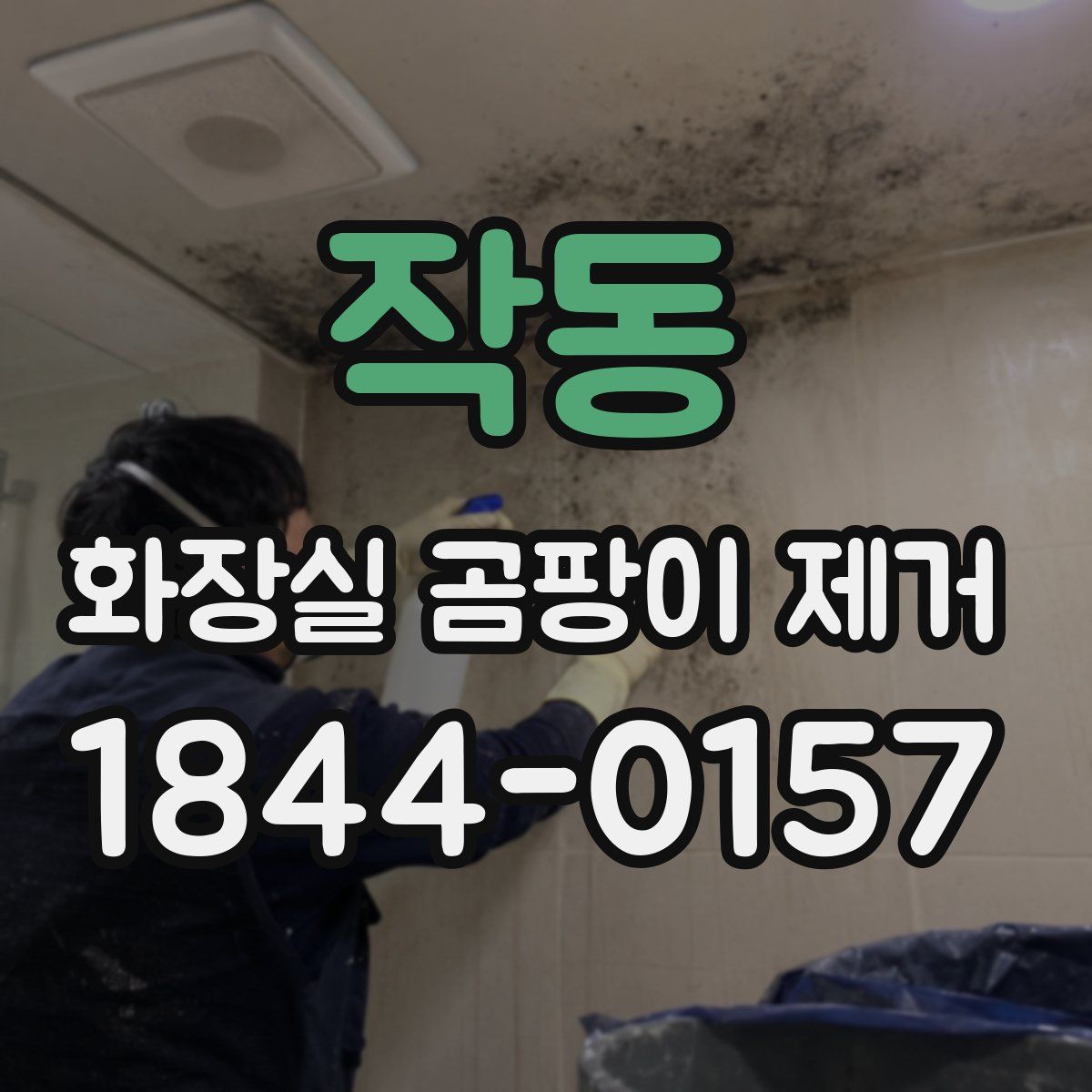 작동 화장실 곰팡이 제거