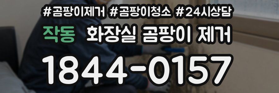 작동 화장실 곰팡이 제거