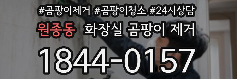 원종동 화장실 곰팡이 제거