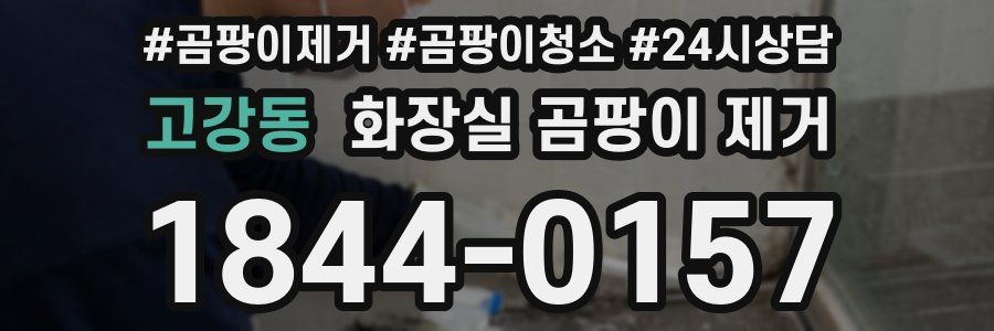 고강동 화장실 곰팡이 제거