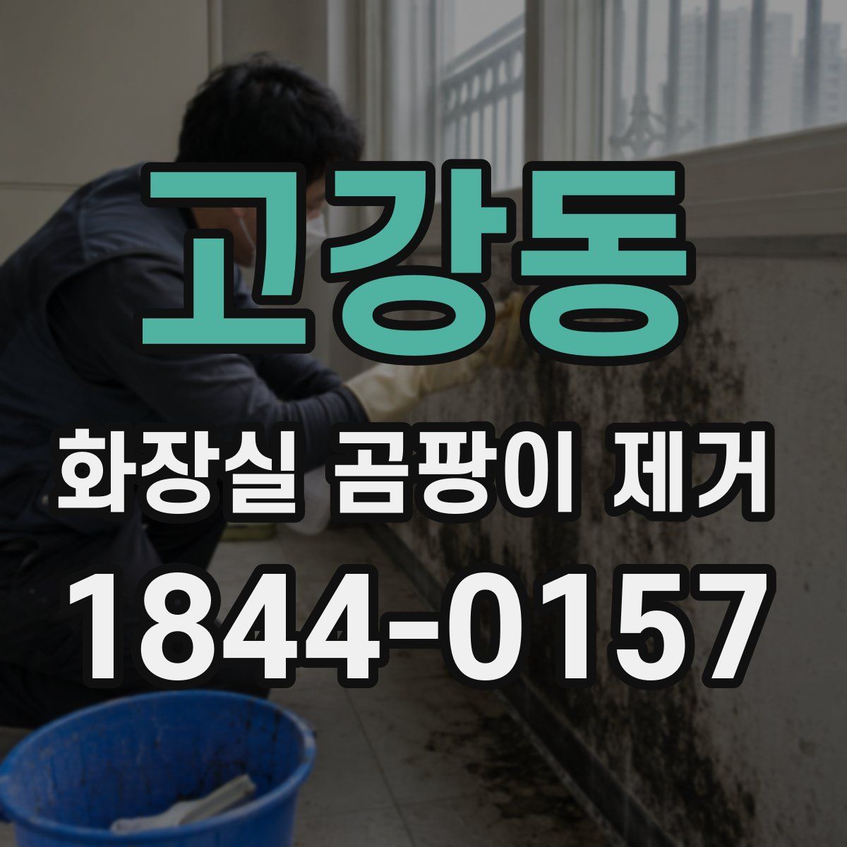 고강동 화장실 곰팡이 제거