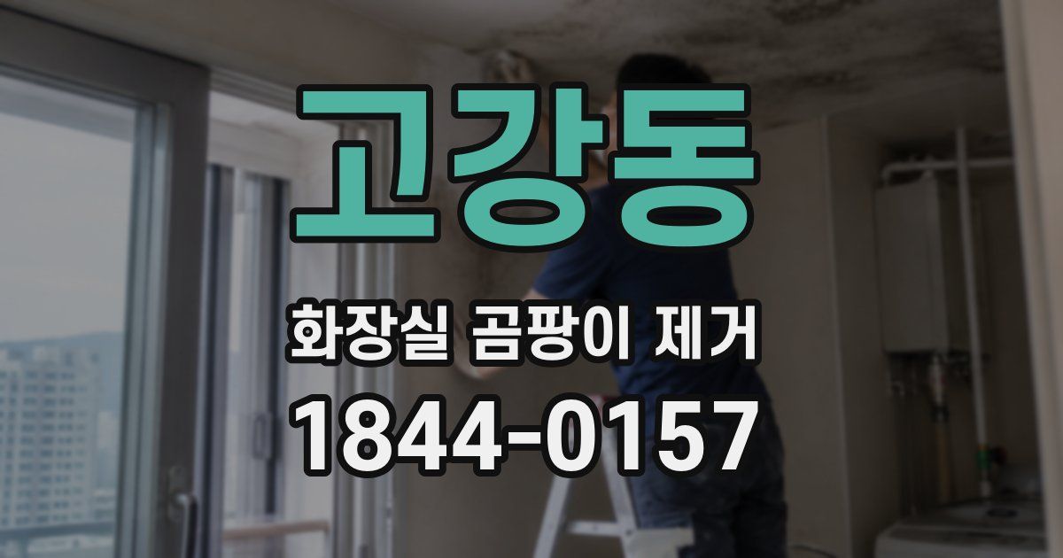 고강동 화장실 곰팡이 제거